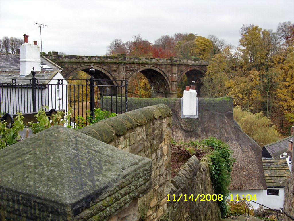 [Nov.11-17,2008+UK388_edited.JPG]