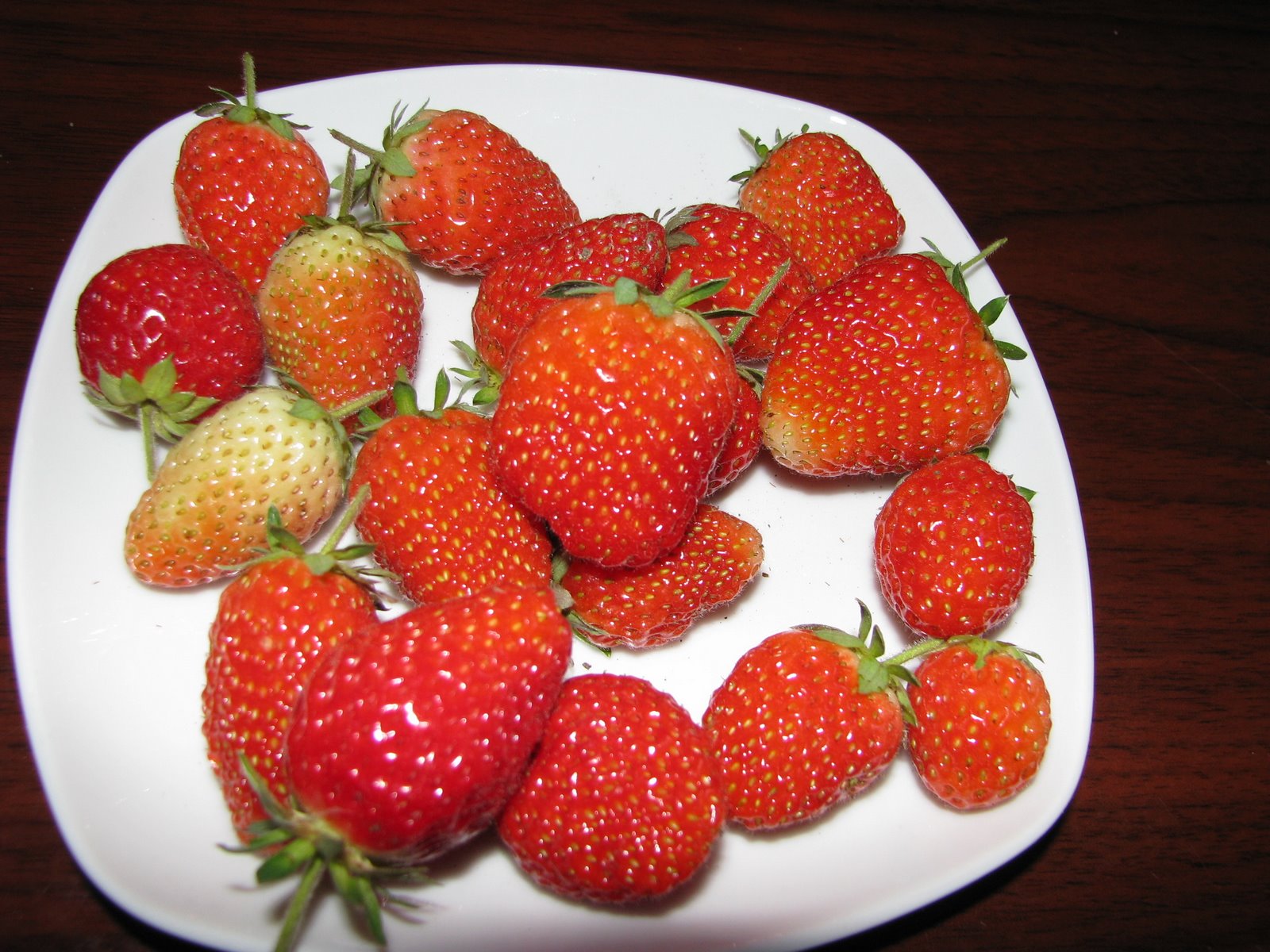 [sept.03,2008hhnfels328.JPG]