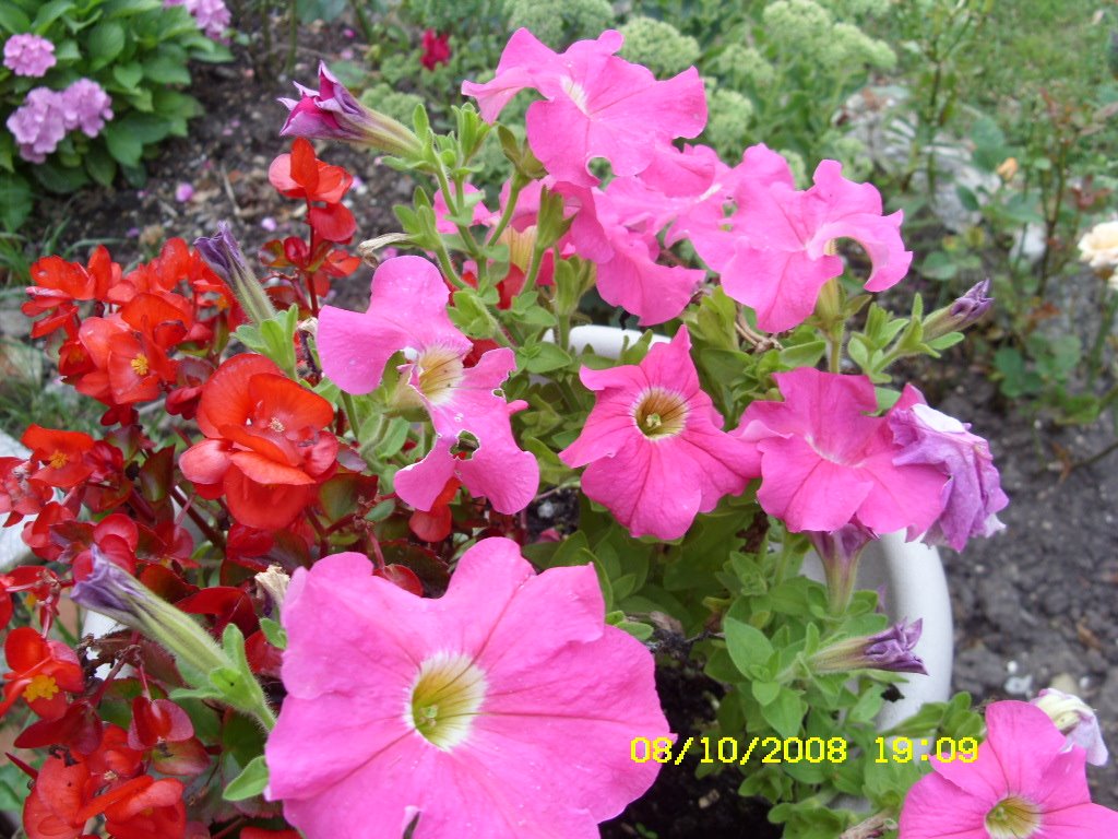 [aug8-9,2008113.JPG]