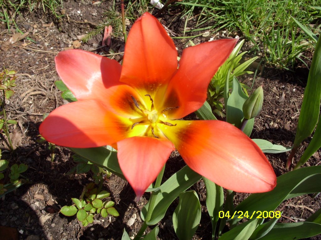 [April242008-hohenfels002.JPG]