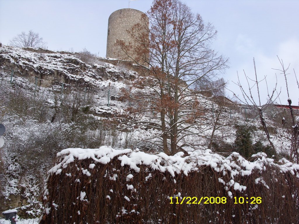 [nov.22,2008-winter017.JPG]