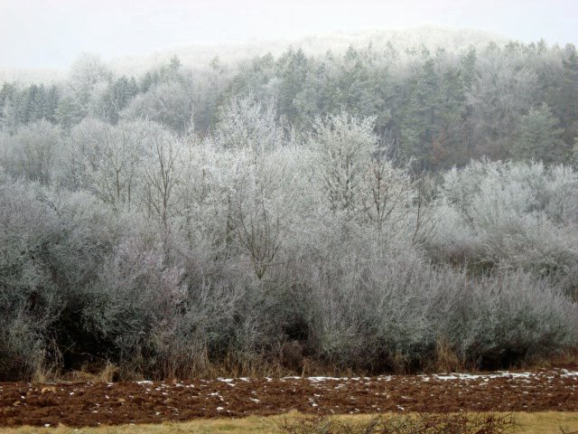 [Feb.2-11,2009084_edited.JPG]