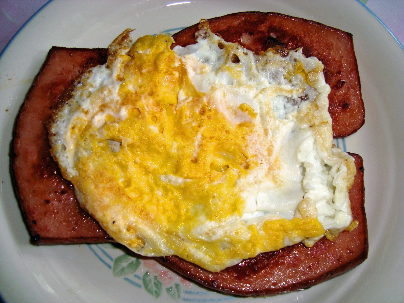 [July4,2009-landshut06.29flowers418_edited.JPG]