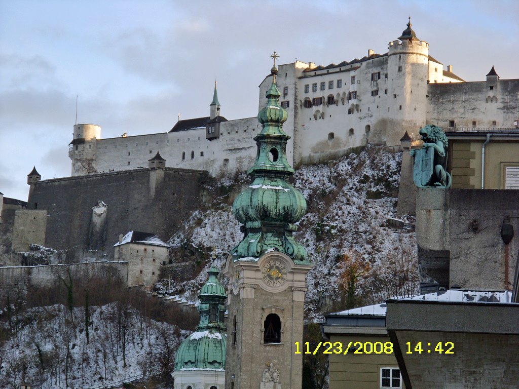 [Nov.23,2008austria-smsng481_edited.JPG]