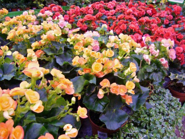 [Oct.2,2009-sony.rrgensburg.bauhaus135_edited.JPG]