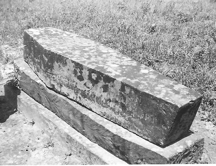 [Spring+Frog+001.jpg]