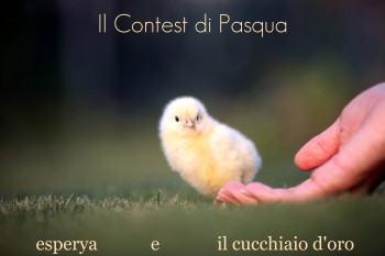 [IMG_0109-350x233.jpg]