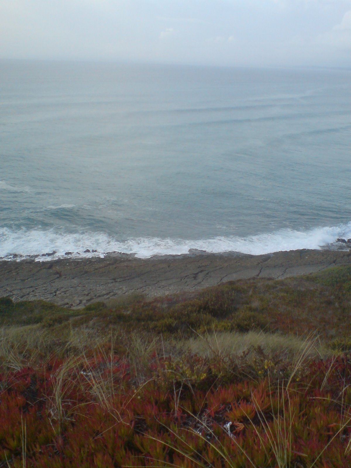 [DSC01375.JPG]