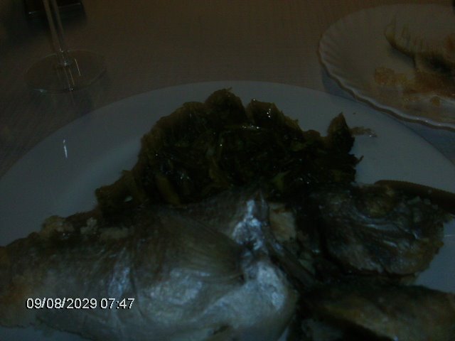 [comida+056.jpg]