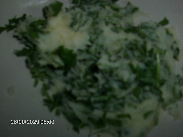 [comida+212.jpg]