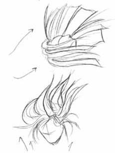 [hair_ex12.jpg]