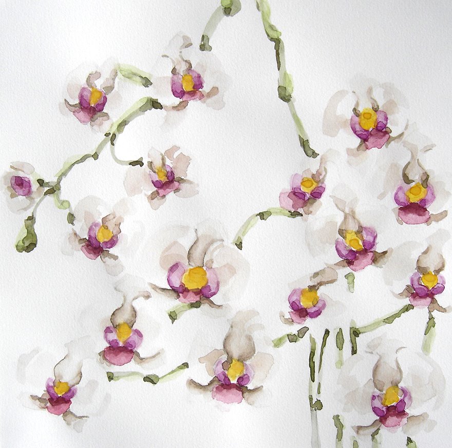 [orquideas+8.jpg]