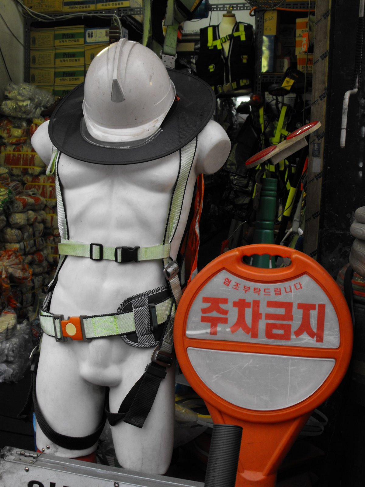[DSCF0020.JPG]