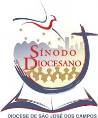 Sinodo Diocesano 2008/2010