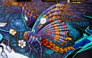 artista de la semana