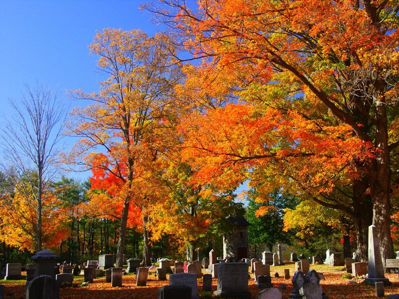 [102808_Fall-141_sm.jpg]