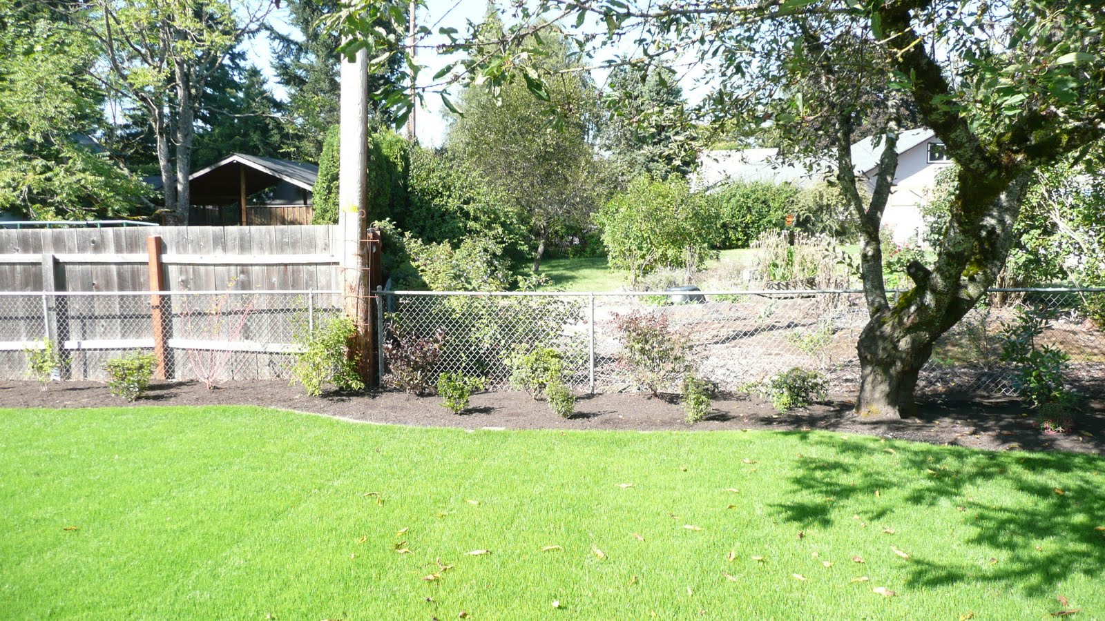 MY CURRENT OBSESSIONS Backyard Redo Part 2