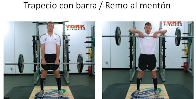 rutinas de gimnasio rutinas de gimnasio