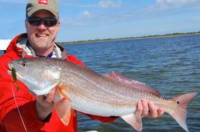 nice redfish with DOA CAL jig