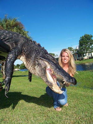 Gator Eating Elephant