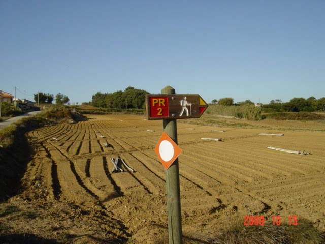 [DSC08277.JPG]
