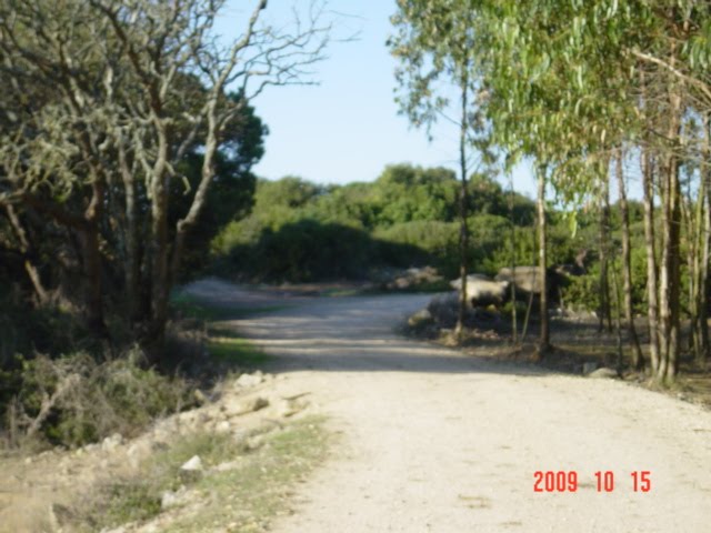 [DSC08297.JPG]