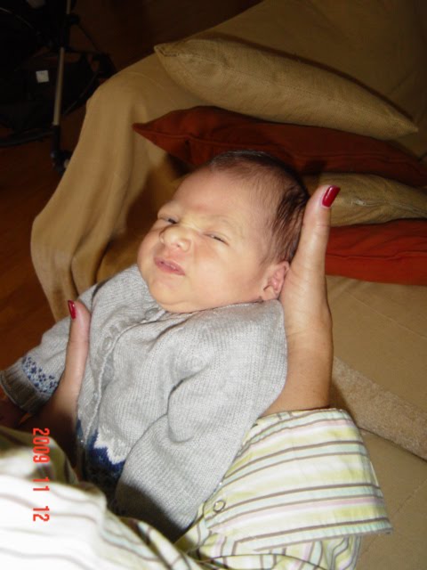 [DSC08364.JPG]