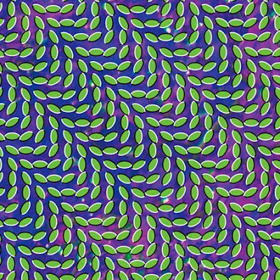 animal_collective