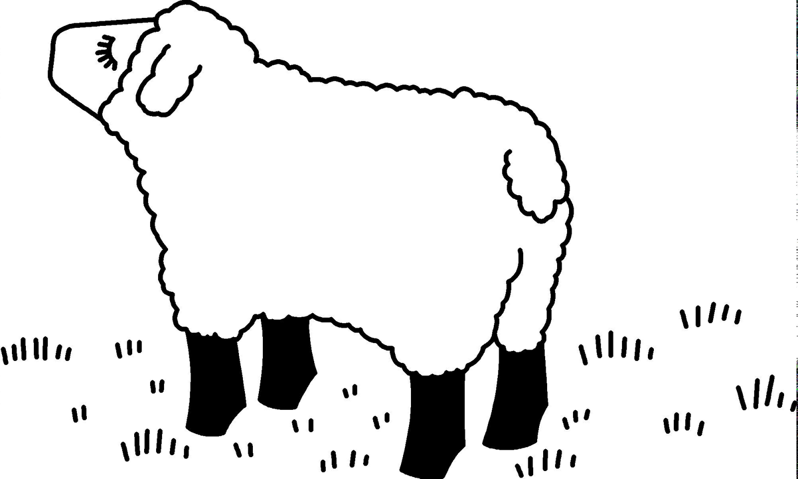 Desenho De Ovelha