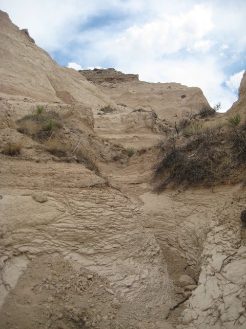 [IMG_0959.jpg]