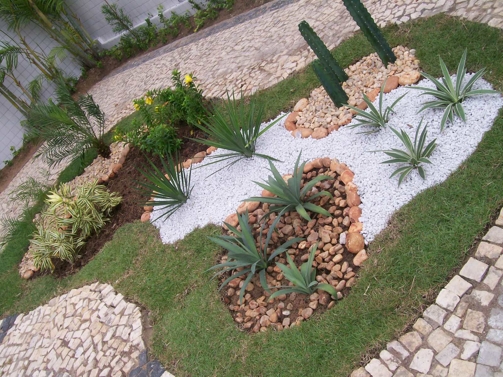 Plantas & Jardins Plantas & Jardins