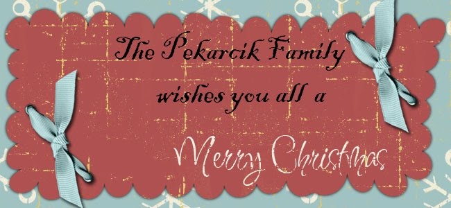 The Pekarcik Family
