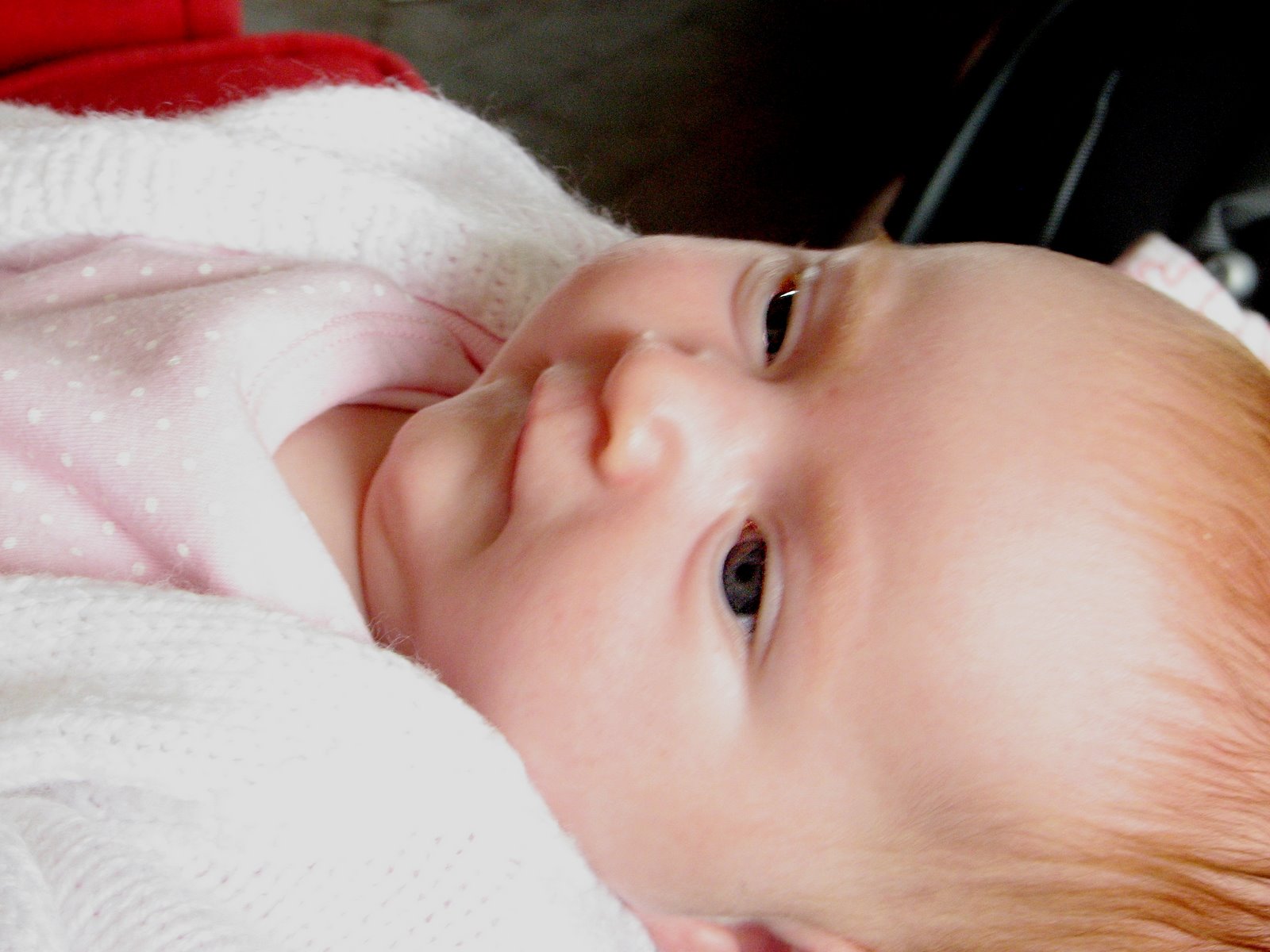 [IMG_0037e.JPG]