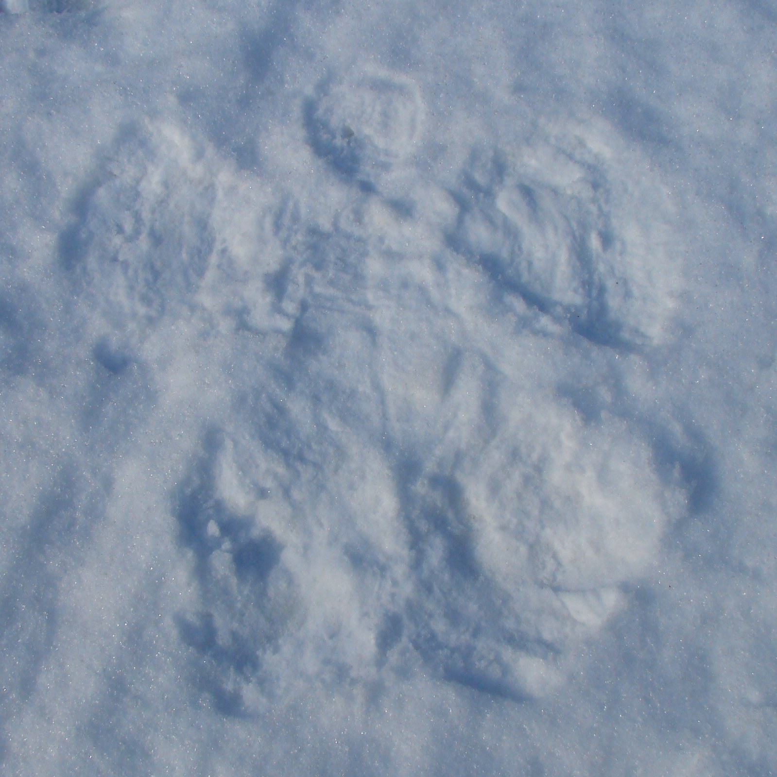 [snowangel.JPG]