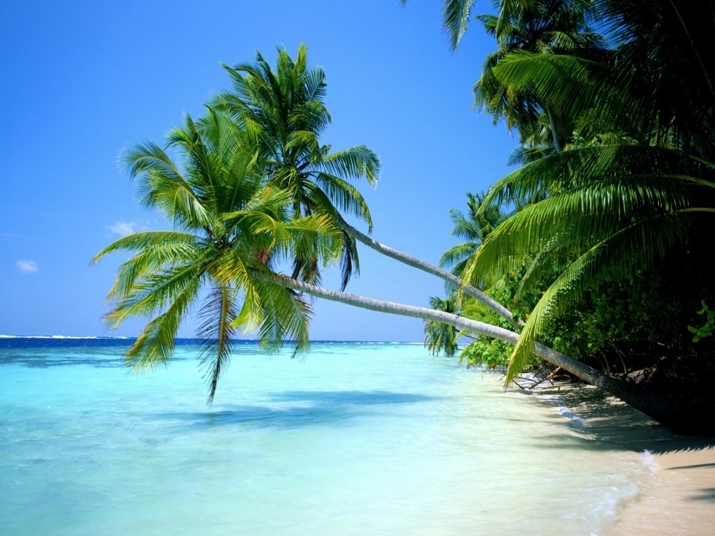 http://4.bp.blogspot.com/_dhhfE_7XUxg/TQeekRxrd5I/AAAAAAAAACQ/SOV6YEKv14k/s1600/playacaribe.jpg
