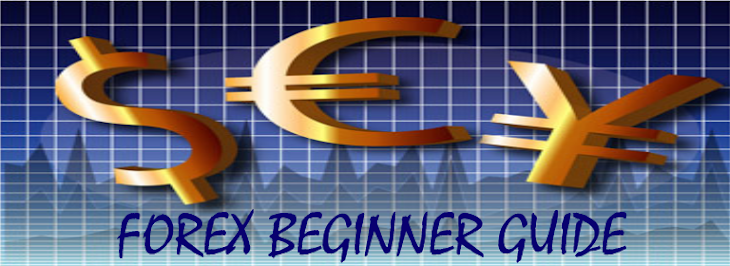 Forex Beginners Guide