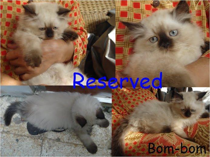 Bom2 Reserved