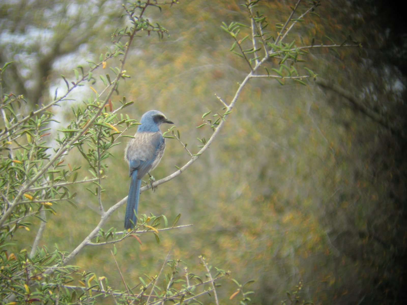 [Florida+2009+289.jpg]