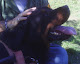 Mi foto