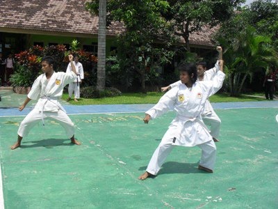karate tutorial ebook