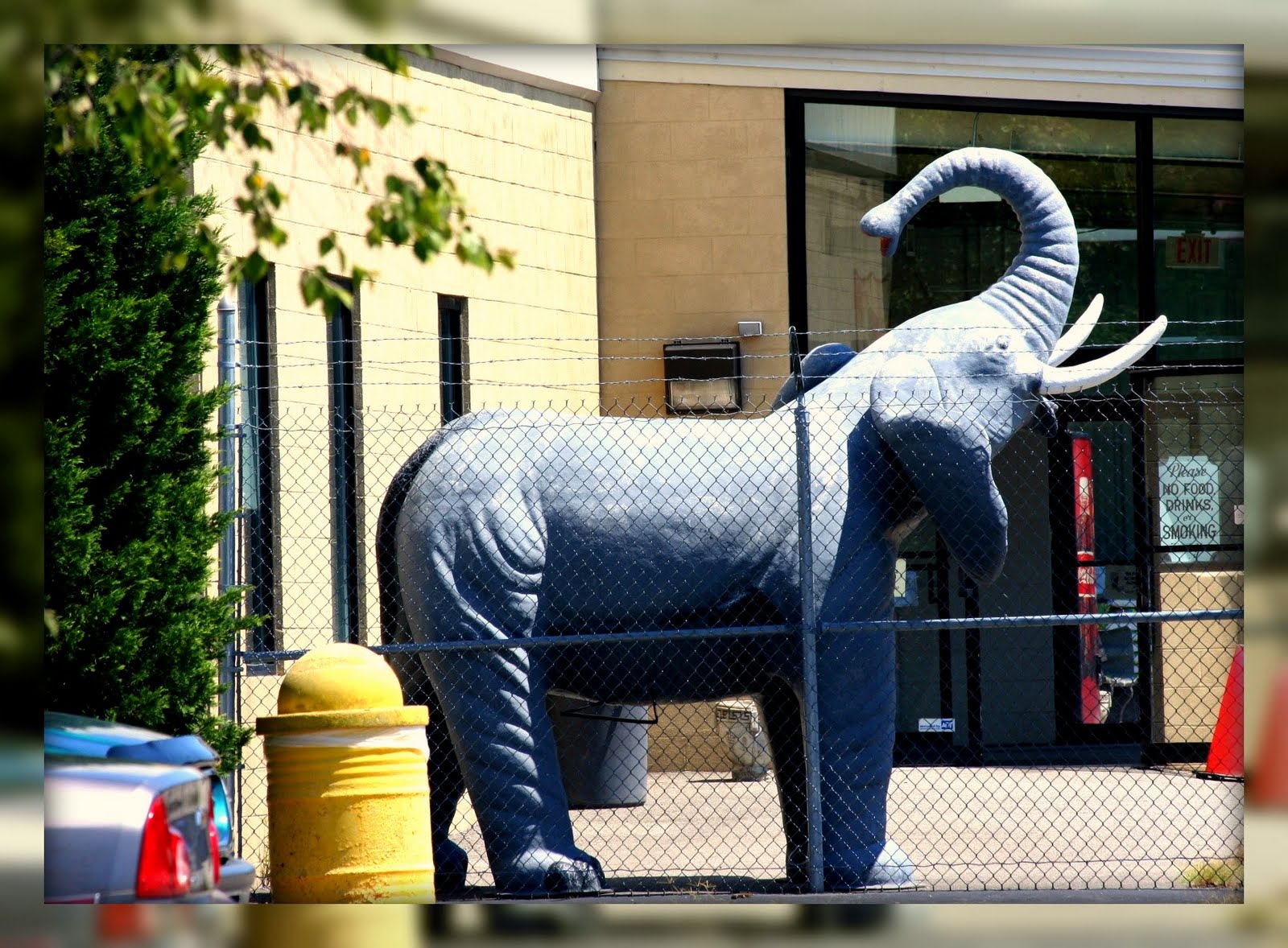 Living In Williamsburg, Virginia The Williamsburg Pottery