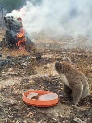 [mccarthy_1_gallery__298x400.jpg]