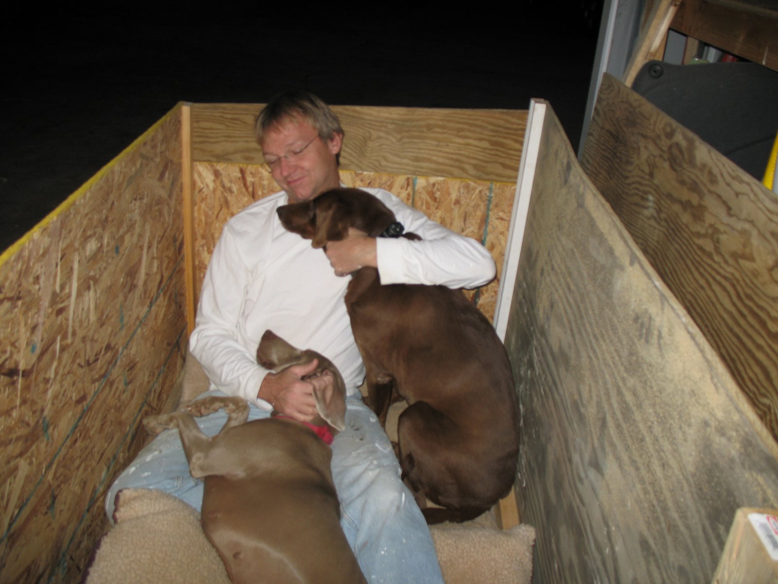 [Gone+to+the+dogs.JPG]