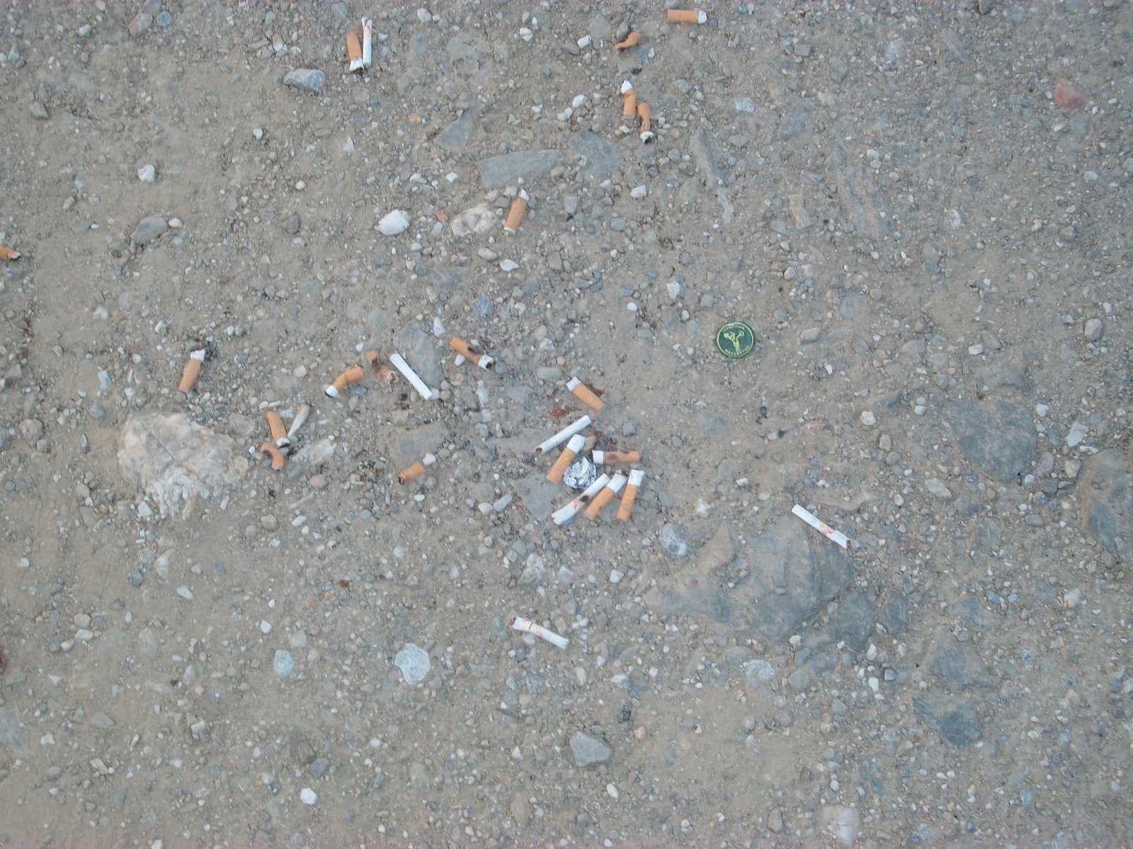 [IMGP0233.JPG]
