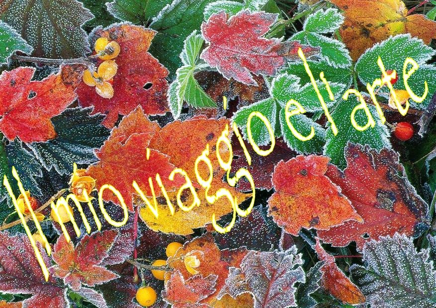IL MIO VIAGGIO  E  L'ARTE