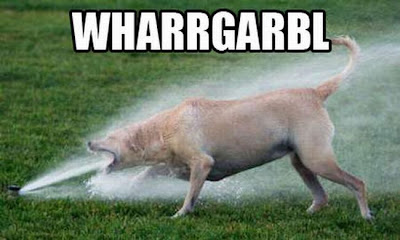 I giggle every time I see this.