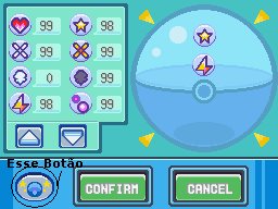[11.bmp]