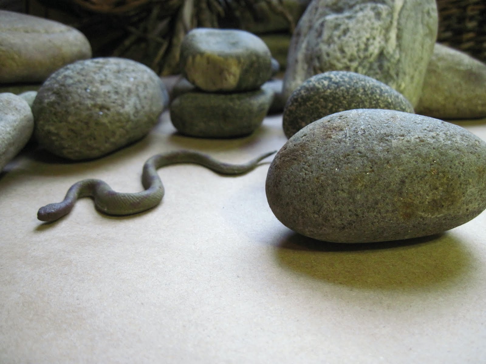 RavenWood Forest A Day in the Studio....