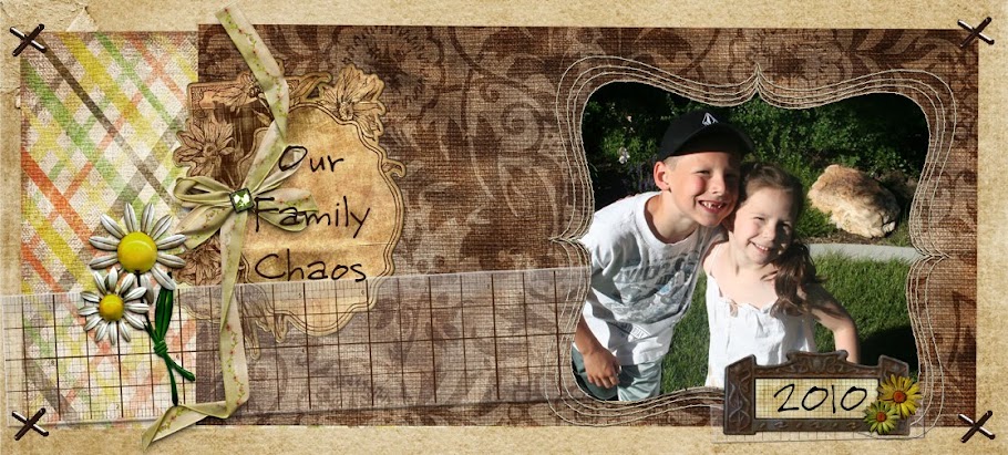 OUR FAMILY CHAOS