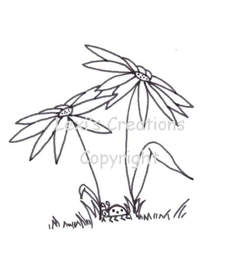 [Ladybug+copyright.jpg]